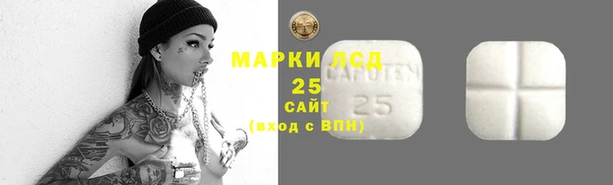 прущий лед Верея