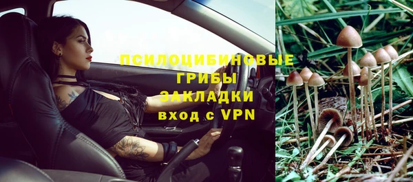 гашик Верхний Тагил