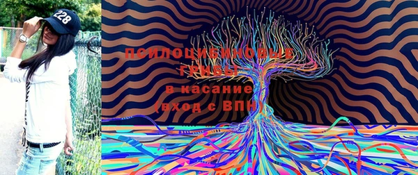прущий лед Верея